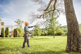 West Samoset, FL Tree Services Company